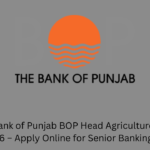 Bank of Punjab Jobs 2026