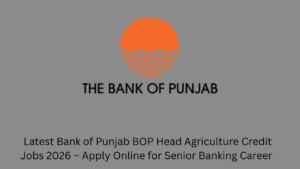 Bank of Punjab Jobs 2026